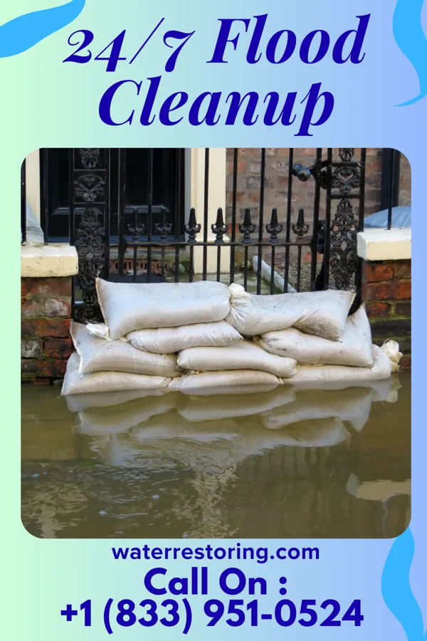 24/7 Flood Cleanup in Ahoskie, NC