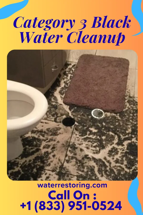 Category 3 Black Water Cleanup in Ahoskie, NC