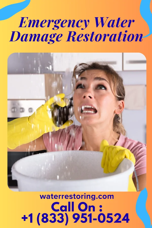 Emergency Water Damage Restoration in Ahoskie, NC