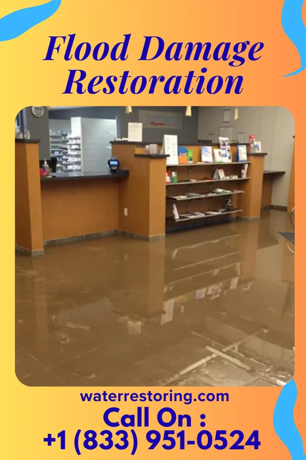 Flood Damage Restoration in Ahoskie, NC