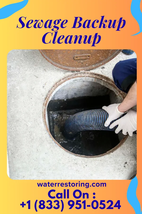 Sewage Backup Cleanup in Ahoskie, NC