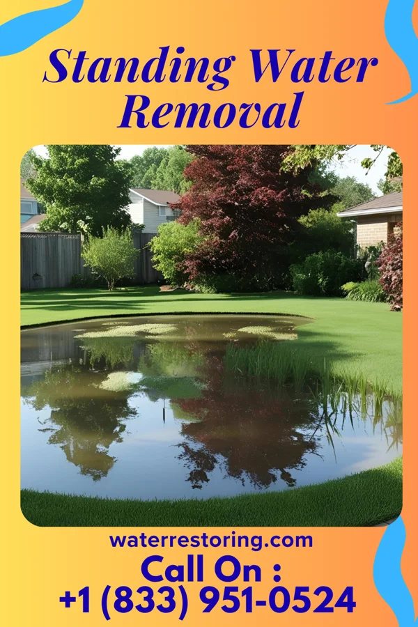 Standing Water Removal in Ahoskie, NC